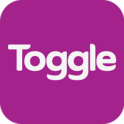 Toggle视频播放器