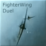 д(zhn)(FighterWing Duel)