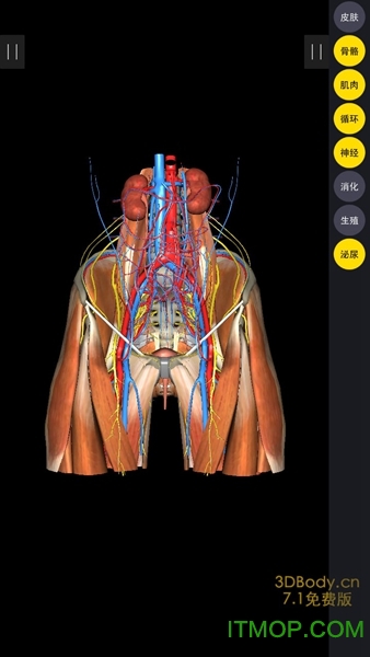 3Dbodyİ v8.8.20׿3