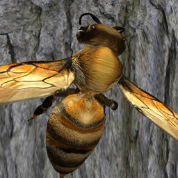 蜂巢模拟器3D