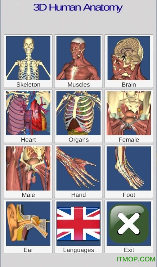 3D Anatomyרҵ(ά) ͼ3