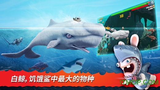 饥饿鲨进化苹果版免费下载-饥饿鲨进化ios官方版Hungry Shark Evolution下载 v9.6.8 iphone版中文最新版