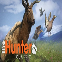 荒野猎人游戏steamv1.15 免安装中英文版