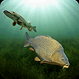 3D模拟钓鱼游戏中文版(3dcarp)