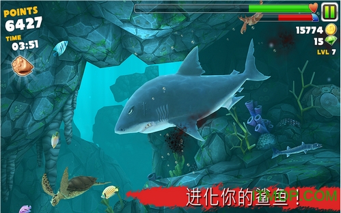 食人鲨进化破解版下载 食人鲨进化版无限金币钻石 Hungry Shark Evolution 下载v4 7 0 中文汉化安卓版 It猫扑网