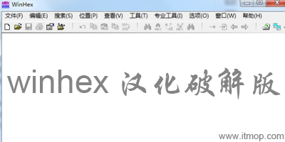 winhex绿色版-WinHex中文版下载-winhex汉化破解版