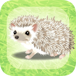 Ĵƽ(Hedgehog)