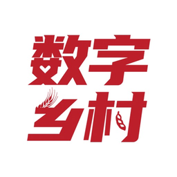 數(shù)字鄉(xiāng)鎮(zhèn)平臺官方版