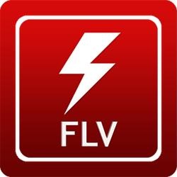 FLV Media Player(FLV)