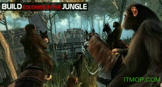 (Life of Apes Jungle Survival) 