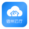 宿州电子政务平台app