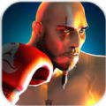 3Dȭ޽Ұڹƽ(Boxing 3D Real Punch Games)