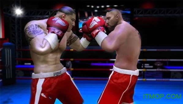 3D横版拳击格斗无限金币版内购破解版(Boxing 3D Real Punch Games)下载 v1.2 安卓中文版0