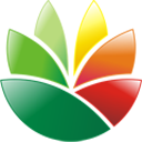 EximiousSoft Logo Designer(logo设计软件中文版)