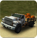 3D泥路货车(Dirt Road Trucker 3D)