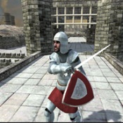 3d(Medieval Survival World 3D)