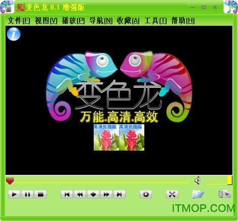 变色龙万能播放器下载 v8.1.09.03 增强版 0