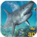 3d踴Ϸ޽Ұ(Hungry white shark revenge 3D)