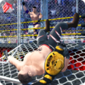 ˤӸ3d2k18(wrestling revolution 3d)v1.656 ׿İ