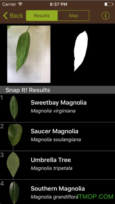 leafsnapʶֲapp v1.50 ׿Ѱ 0