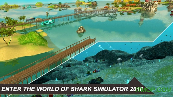 ģ2018(Shark Simulator 2018) ͼ2