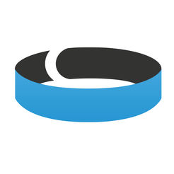 SmartBand2