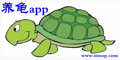 养龟app