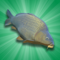 ģ(Carp Fishing Simulator)