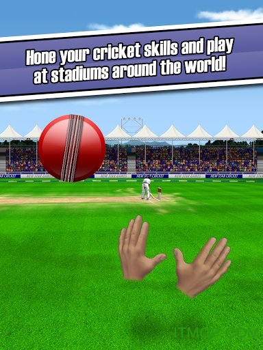 新星板球游戏(New Star Cricket) v1.6.2 安卓版 3