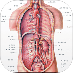 人体解剖学图谱app 人体解剖学图谱破解版 人体解剖图谱推荐 It猫扑网