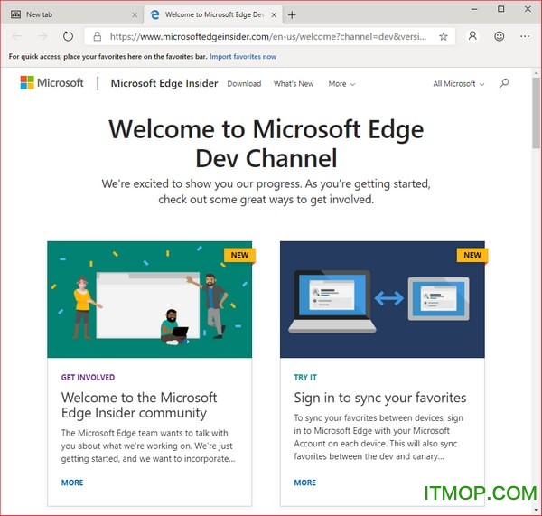 Microsoft Edge Dev(Chromium Edge) ͼ0