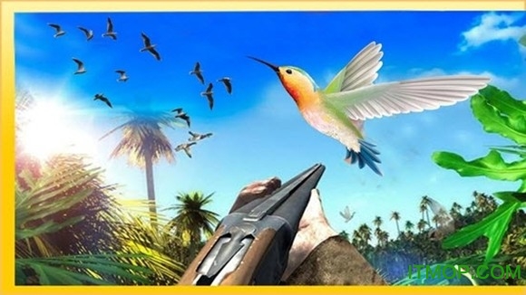 ʦ(Bird Hunting Master) ͼ2