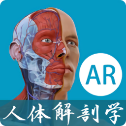 解剖学AR