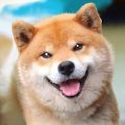 秋田犬模拟器游戏最新版