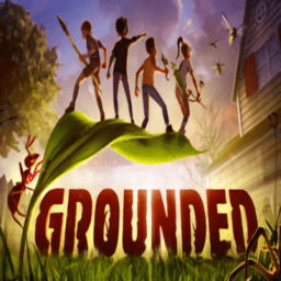 地面生存grounded