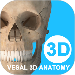 ά3dȫѰv6.1.0׿