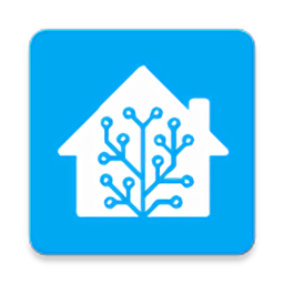 home assistant app