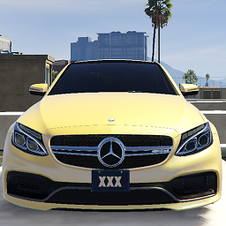 C63停车专家(C63 Parking Expert)