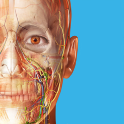 atlaswʌWDV2023°(Human Anatomy Atlas 2023)