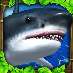 ģ(Shark Sim)