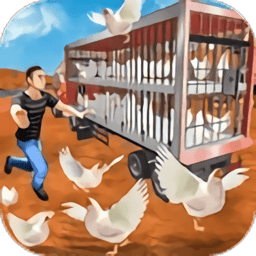 公鸡养殖场最新版