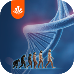遗传与进化