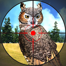 3D猫头鹰狩猎模拟v1.0 安卓版