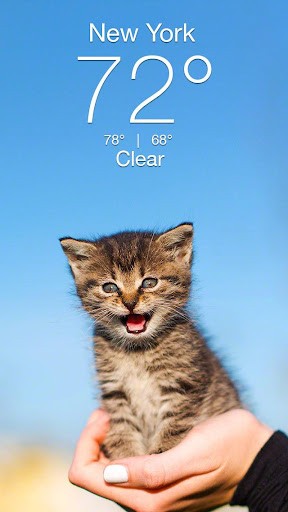 Weather Kitty v5.3.9 ׿0