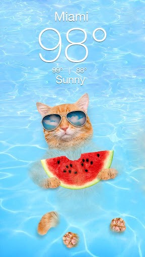 Weather Kitty v5.3.9 ׿1