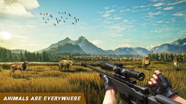 Ұ(Wild Shooting Hunting Games 3d) v1.0.4 ׿ 0