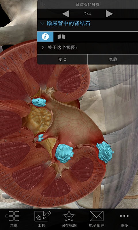 3DͲѧapp