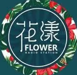 花漾壁纸官方版