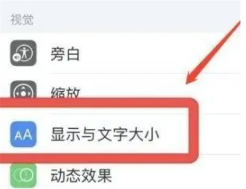 苹果手机11打开色彩滤镜功能的方法步骤-如何打开苹果11色彩滤镜
