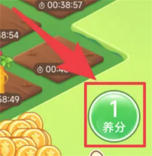 拼多多种菜施肥并获取种子的方法-如何种菜赚钱施肥并获取种子